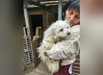 Kleine Lizzy sucht ihr Für-immer-Zuhause