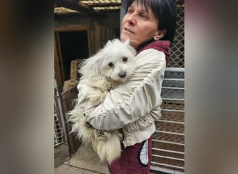 Kleine Lizzy sucht ihr Für-immer-Zuhause