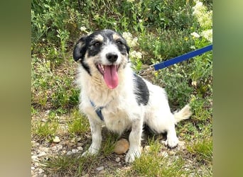 Fiona 35cm geb. 04/2025 ist ein absoluter Sonenschein