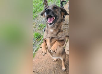 Olga 34 cm geb. 04/2023 ist unkompliziert und katzenverträglich