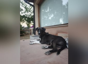 NEDA in Kürze auf Pflege in Goch, NRW