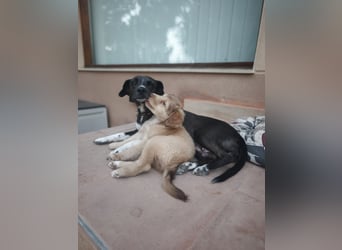 NEDA in Kürze auf Pflege in Goch, NRW