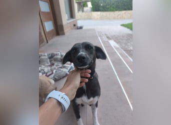 NEDA in Kürze auf Pflege in Goch, NRW