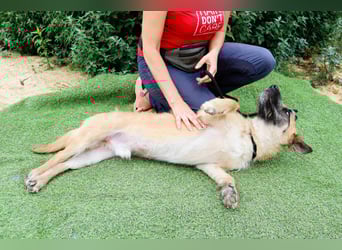 Typisch SCHMUSER ♦️DONOVAN♦️ in der Cantinho da Milu ⏳ 6/2024