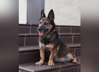 Wundervolle Eva sucht ihre Familie