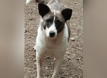 Klein, süß - Shanti