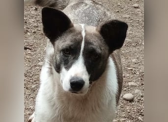 Klein, süß - Shanti