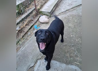 Liebevolle Fellmaus Vania sucht liebe Menschen