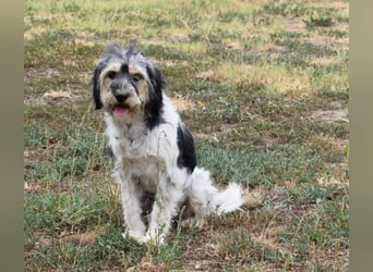Ruby kleine Frohnatur