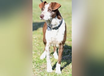 Tilda - liebenswerte Seniorin