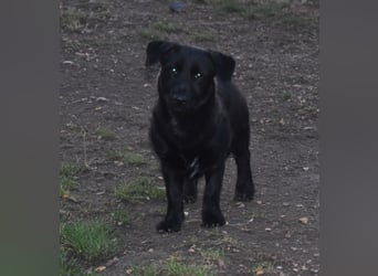 Buddy - your best friend?