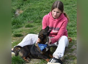 Emma - vor der Kette gerettet