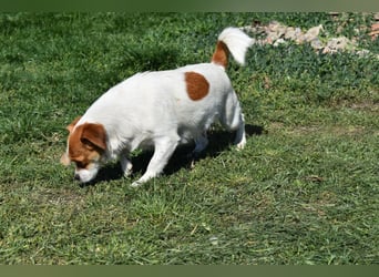 Hannah sucht Familienanschluss