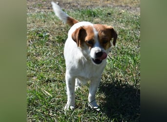 Hannah sucht Familienanschluss