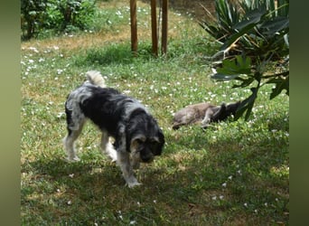 Ruby kleine Frohnatur