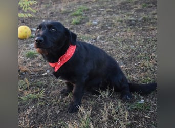 Buddy - your best friend?