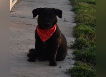 Buddy - your best friend?