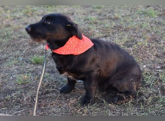 Buddy - your best friend?