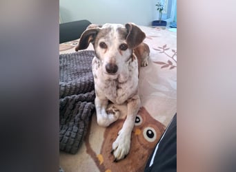 Tilda - liebenswerte Seniorin