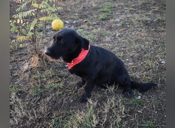 Buddy - your best friend?