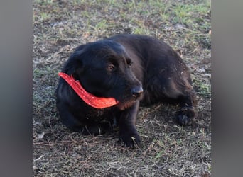 Buddy - your best friend?