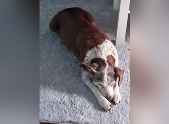 Tilda - liebenswerte Seniorin