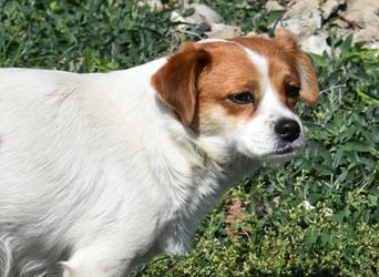 Hannah sucht Familienanschluss