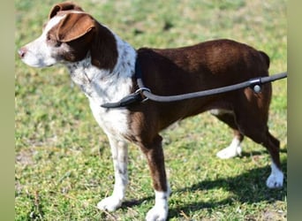 Tilda - liebenswerte Seniorin