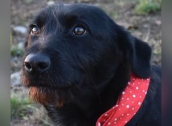 Buddy - your best friend?