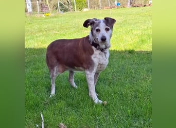 Tilda - liebenswerte Seniorin