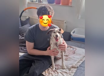 Tilda - liebenswerte Seniorin
