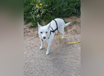 LÜTTE – Reserviert