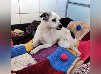 KIKO wünscht sich ein warmes Körbchen