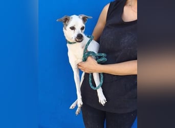 KIKO wünscht sich ein warmes Körbchen