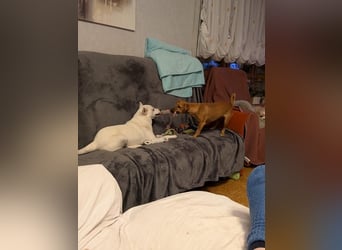 LÜTTE – Reserviert