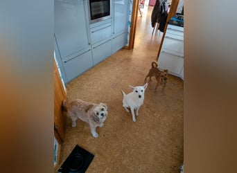 LÜTTE – Reserviert