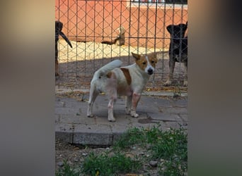 Eva - auf der Suche nach ihren Herzensmenschen