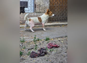 Eva - auf der Suche nach ihren Herzensmenschen