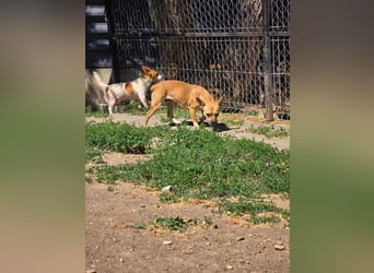 Eva - auf der Suche nach ihren Herzensmenschen