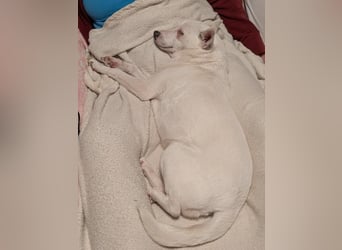 LÜTTE – Reserviert