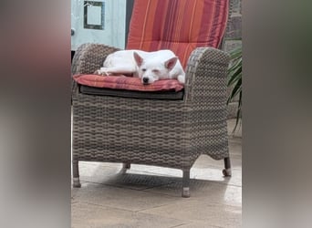 LÜTTE – Reserviert