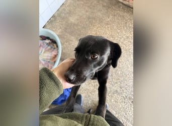 BONNIE sucht ihre Familie