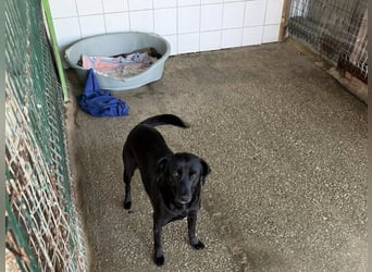 BONNIE sucht ihre Familie