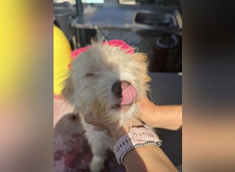 KALLE wünscht sich eine Familie