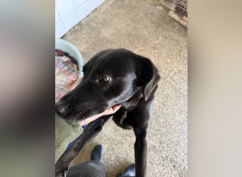 BONNIE sucht ihre Familie