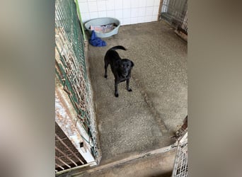 BONNIE sucht ihre Familie