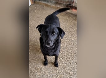 BONNIE sucht ihre Familie