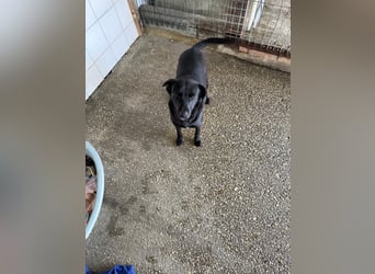 BONNIE sucht ihre Familie