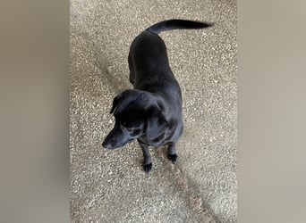 BONNIE sucht ihre Familie