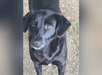 BONNIE sucht ihre Familie